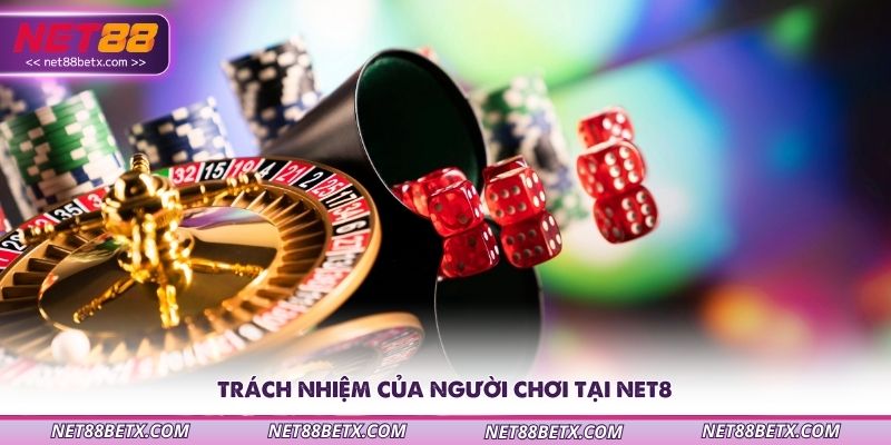 trach-nhiem-cua-nguoi-choi-tai-net8